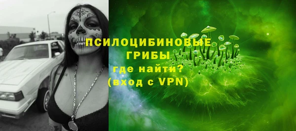 apvp Аркадак