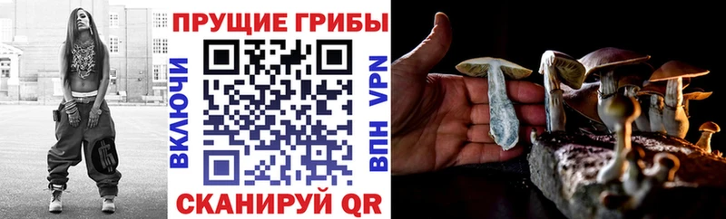 Псилоцибиновые грибы Psilocybine cubensis Орехово-Зуево